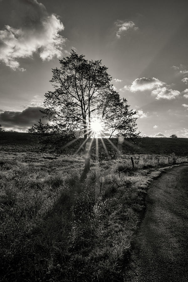 Mountain Sunrise in Black and White Photograph by Carolyn Hutchins