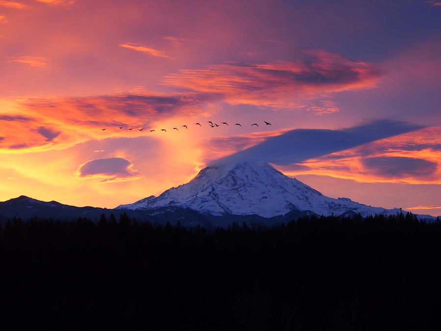Mountain Sunrise Photograph by Jacklyn Duryea Fraizer
