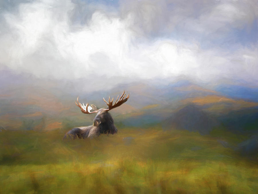 Mountain Top Moose Mixed Media by Steven Richardson