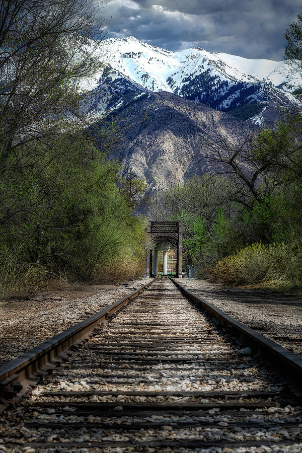 Mountain Tracks Photograph by Michael Ash