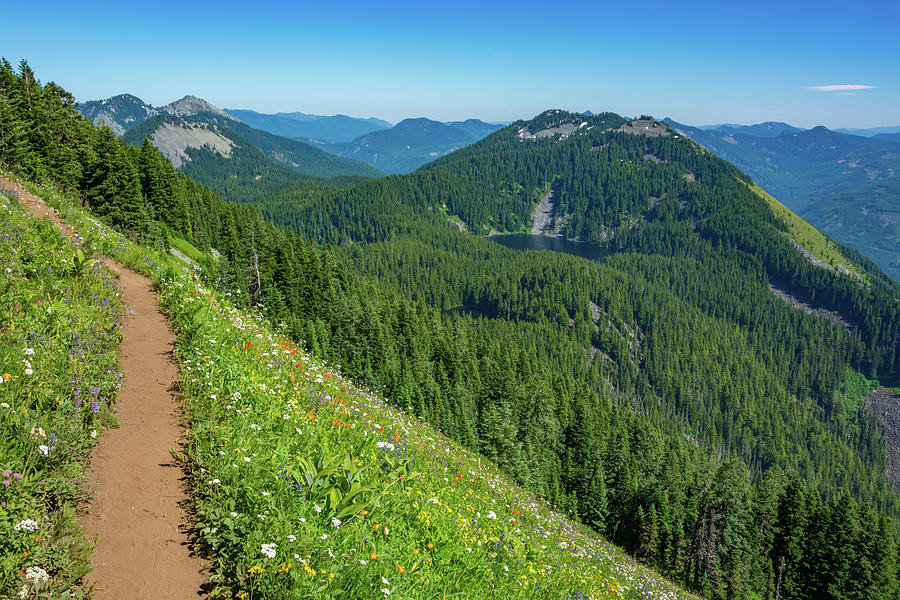 Mountain Trail 2 Photograph by Pelo Blanco Photo