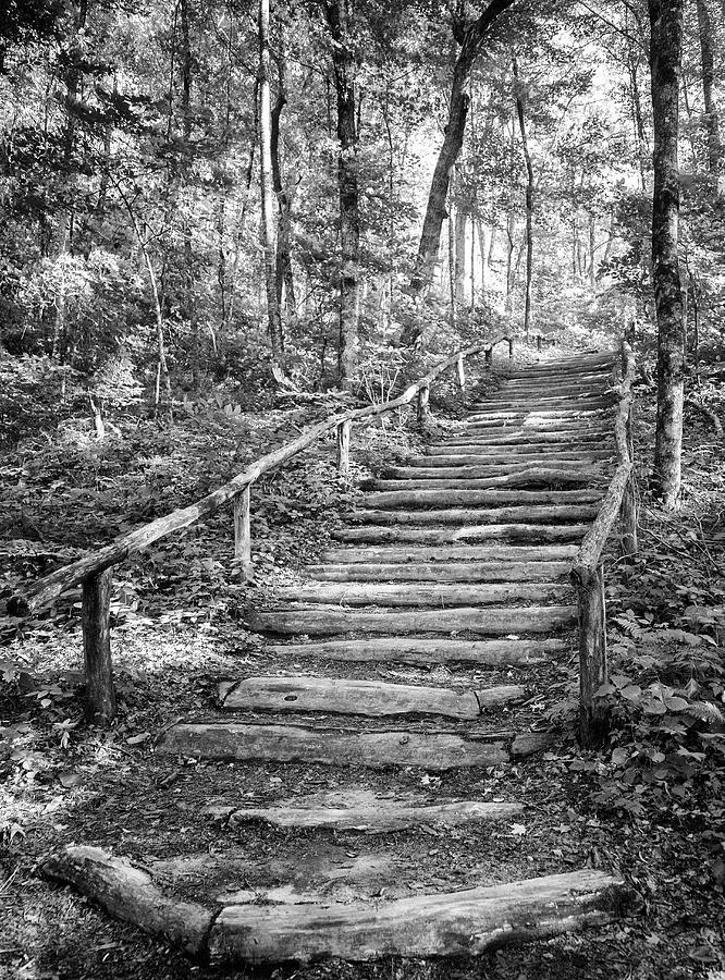 Mountain Trail Stairway - Blue Ridge Mountains Photograph by Bob Decker