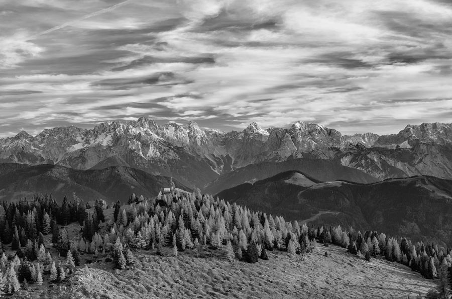 Mountain Trees BW Photograph by Bob Pardue