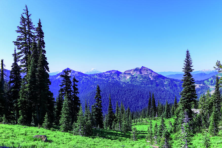 Mountain Viewing On A Summer Day Photograph