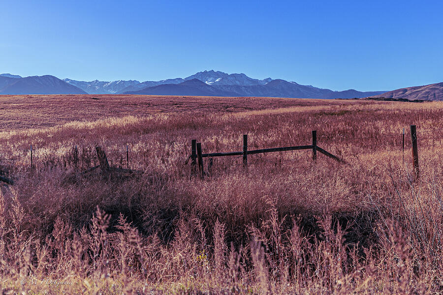 Mountain Vista with Rustic Fence Photograph - Mountain Vista with Rustic Fence by Michael DeGrenier