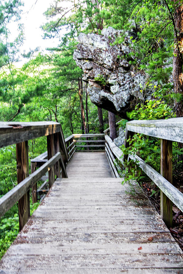 Mountain Walkway in Hanging Rock State Park Photograph by Bob Decker