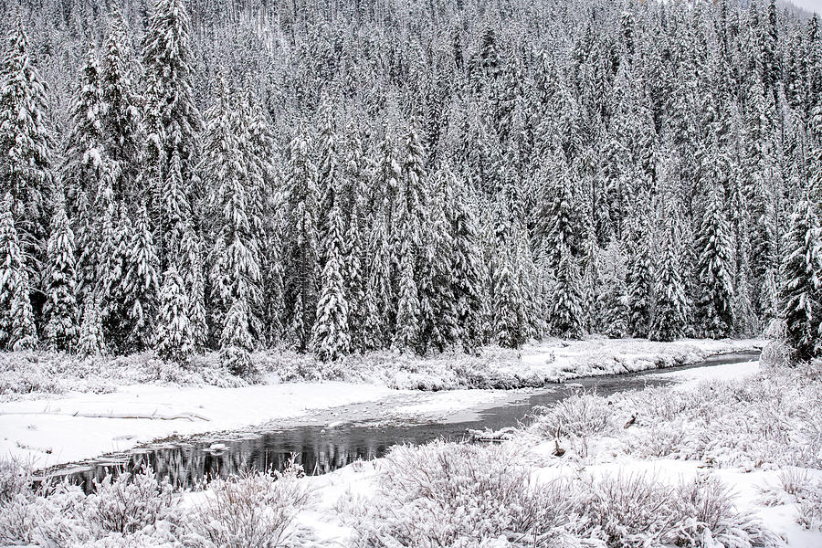 Mountain Winter Photograph by Paul Freidlund