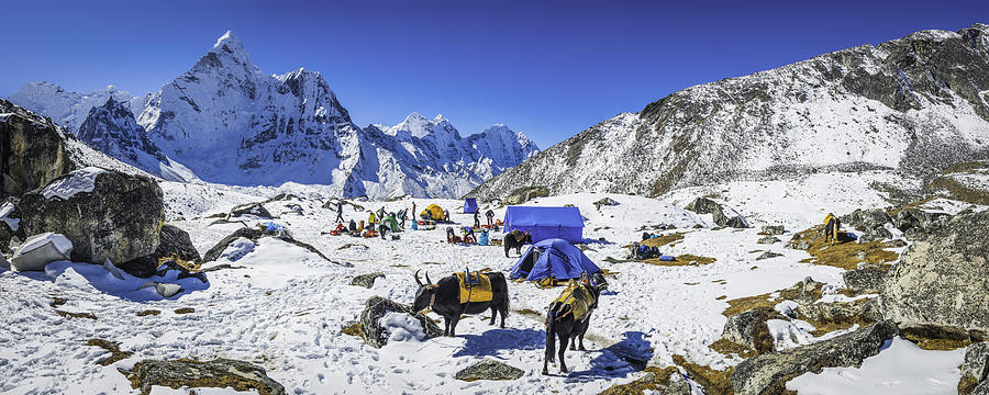 Mountaineers yaks snowy base camp beneath Ama Dablam Himalayas Nepal Photograph by fotoVoyager