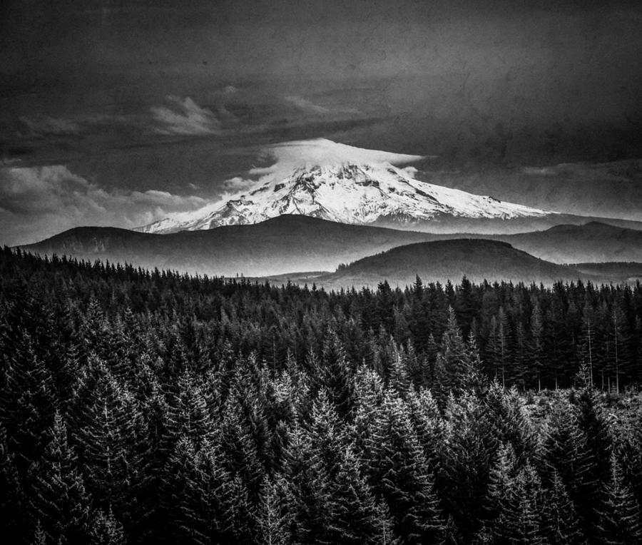 Mountains and Forest Black and White Mt Hood Tapestry - Textile by ...