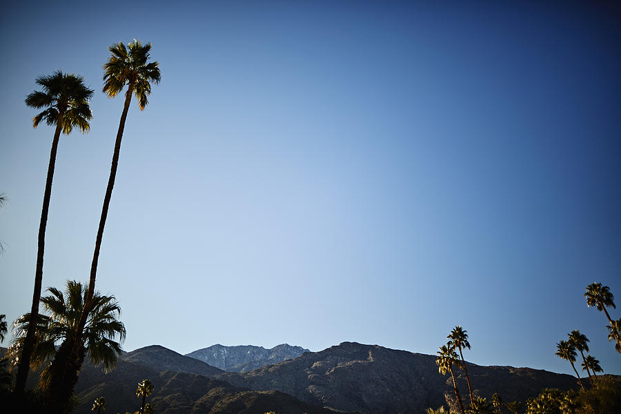 Mountains and palm trees in Palm Springs Photograph by Ballyscanlon