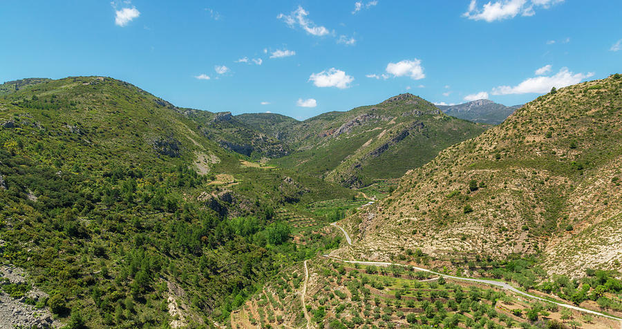 Pine Photograph - Mountains Around Bejis In Castellon by Vicen Photography Pine Photograph - Mountains Around Bejis In Castellon by Vicen Photography