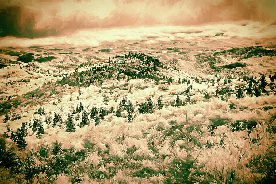 Mountains Full of Pines ap Painting by Dan Carmichael