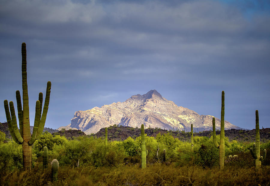Mountains in Arizona Photograph by Sandra Js