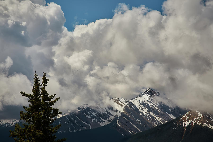 Mountains in Banff Photograph by Jon Glaser