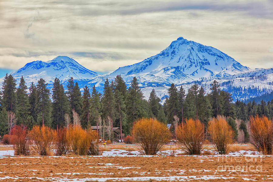 Mountains in Sisters Oregon Photograph by David Millenheft