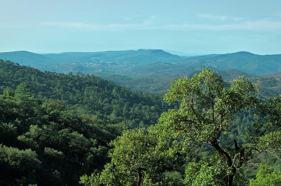 Mountains of Loule. Serra do Caldeirao Photograph by Angelo DeVal