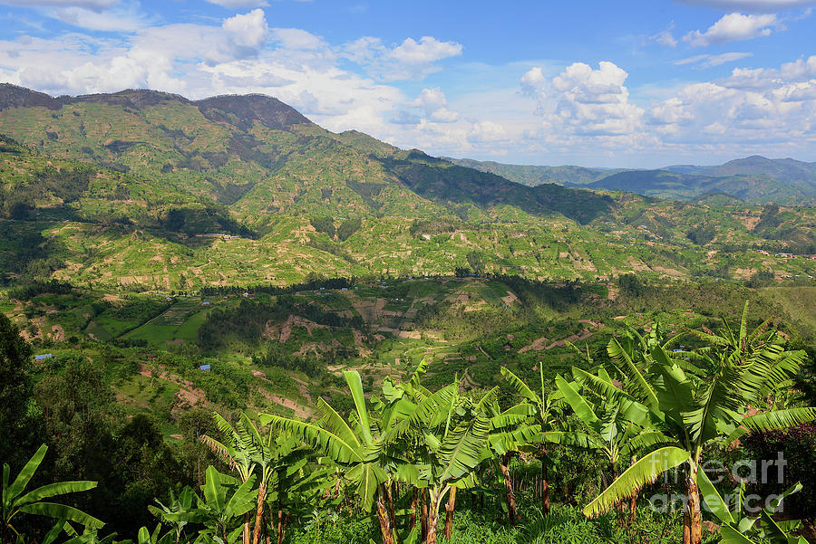 Mountains Of Rwanda Photograph By Shawn Dechant Fine Art America