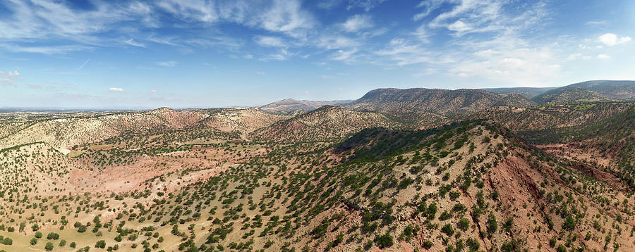 Mountains with argan trees in Morocco Photograph by Mikhail Kokhanchikov