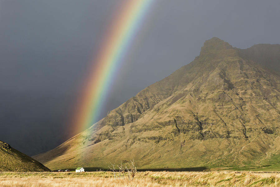 Mountainside Rainbow Photograph by Denise Bush