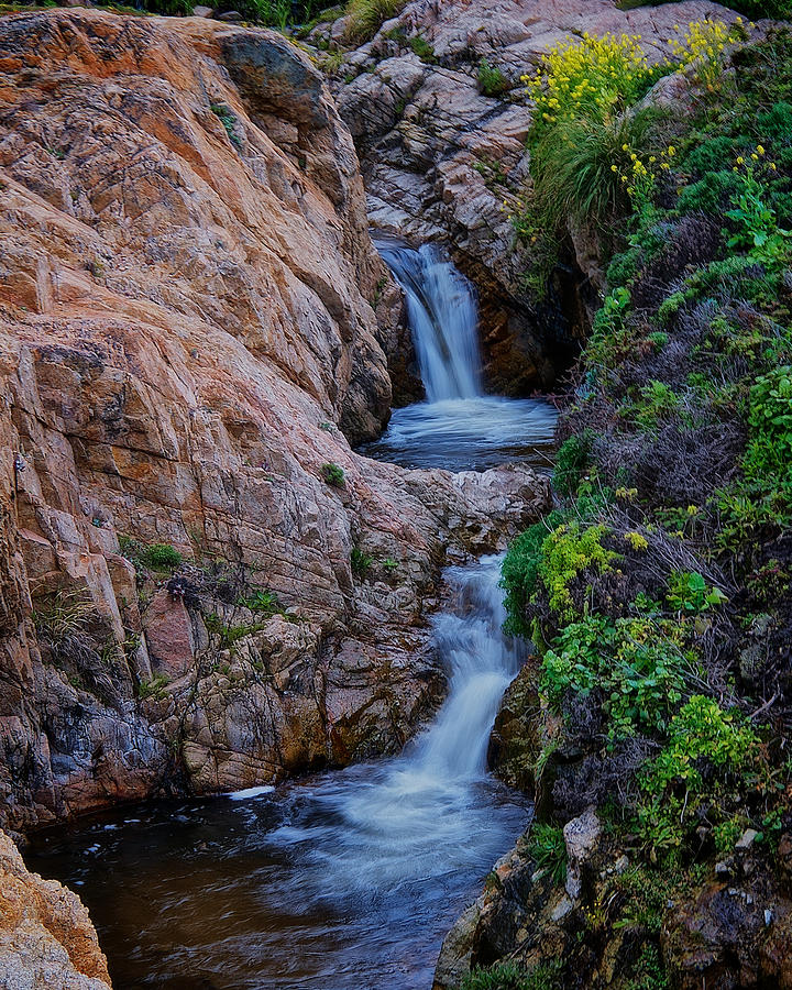 Nature Photograph - Mountainside, Soberanes Creek, Garrapata State Park, California  by Zayne Diamond