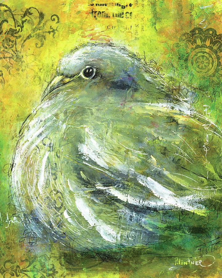 Mourning Dove Fat Bird Painting by Patricia Lintner