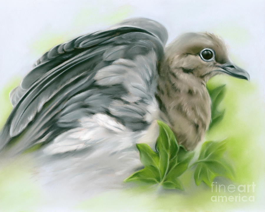 Mourning Dove Flexing Wings with Ivy Painting by MM Anderson