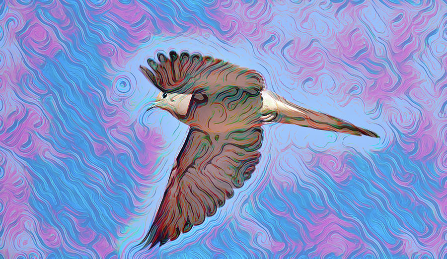 Mourning Dove Inflight 1 Abstract Mixed Media