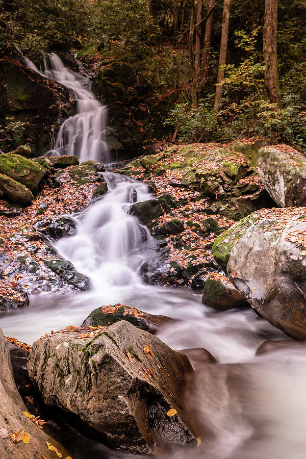 Mouse Creek Falls Photograph by Darrell DeRosia