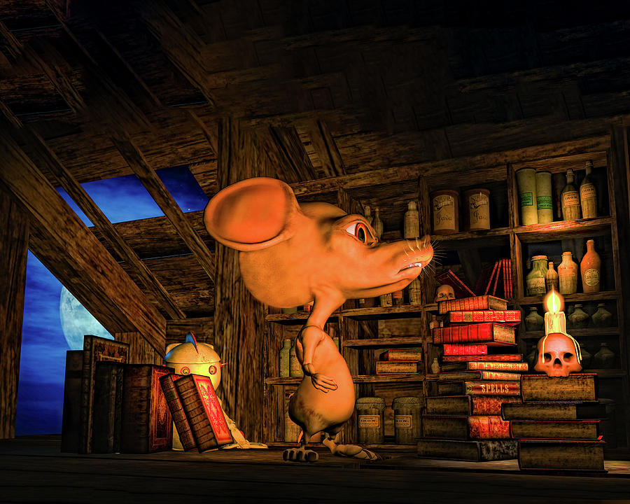 Wizard Digital Art - Mouse In The Attic by Bob Orsillo
