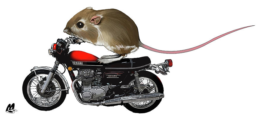 Mouse Digital Art - Mouse on a motorcycle by Mark Baker