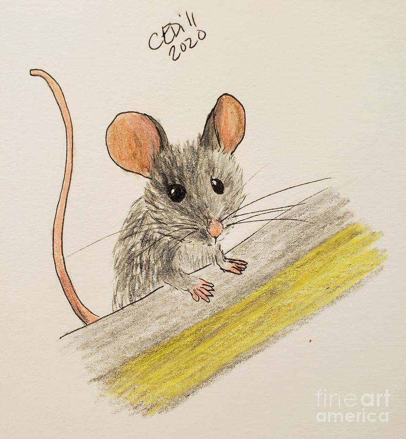 Mouse on the Lookout Painting by C E Dill
