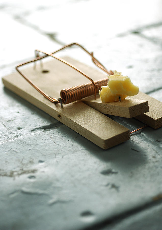 Mousetrap and cheese. Photograph by Laurent Hamels