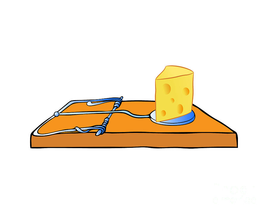 Mousetrap With Cheese - Trap Drawing