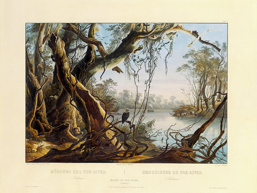 Mouth of Fox River Indiana Drawing by Karl Bodmer Mouth of Fox River Indiana Drawing by Karl Bodmer
