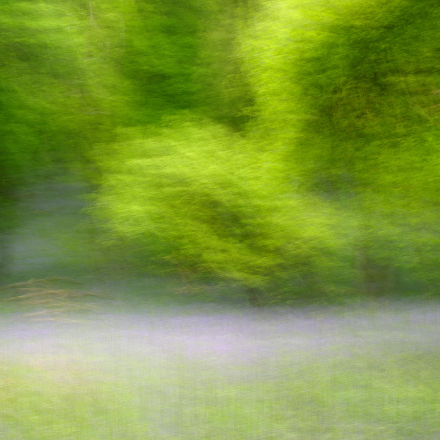 Moving Greens Photograph by Stephen Taylor
