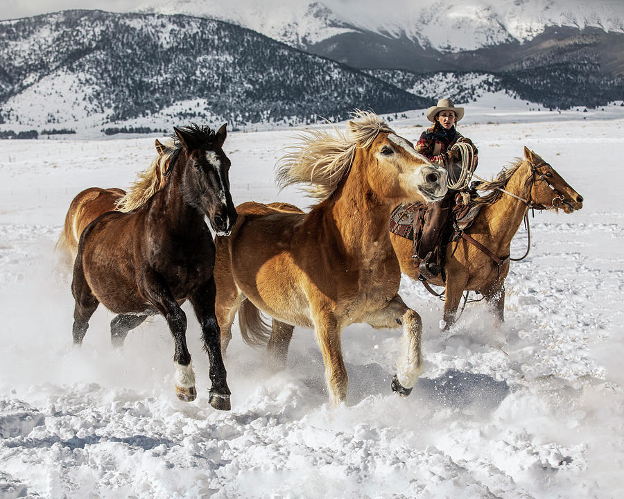 Mountain Photograph - Moving Horses Through the Snow by Dawn Key