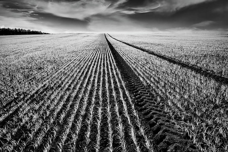 Black And White Photograph - Movovian Farmland by Jon Glaser