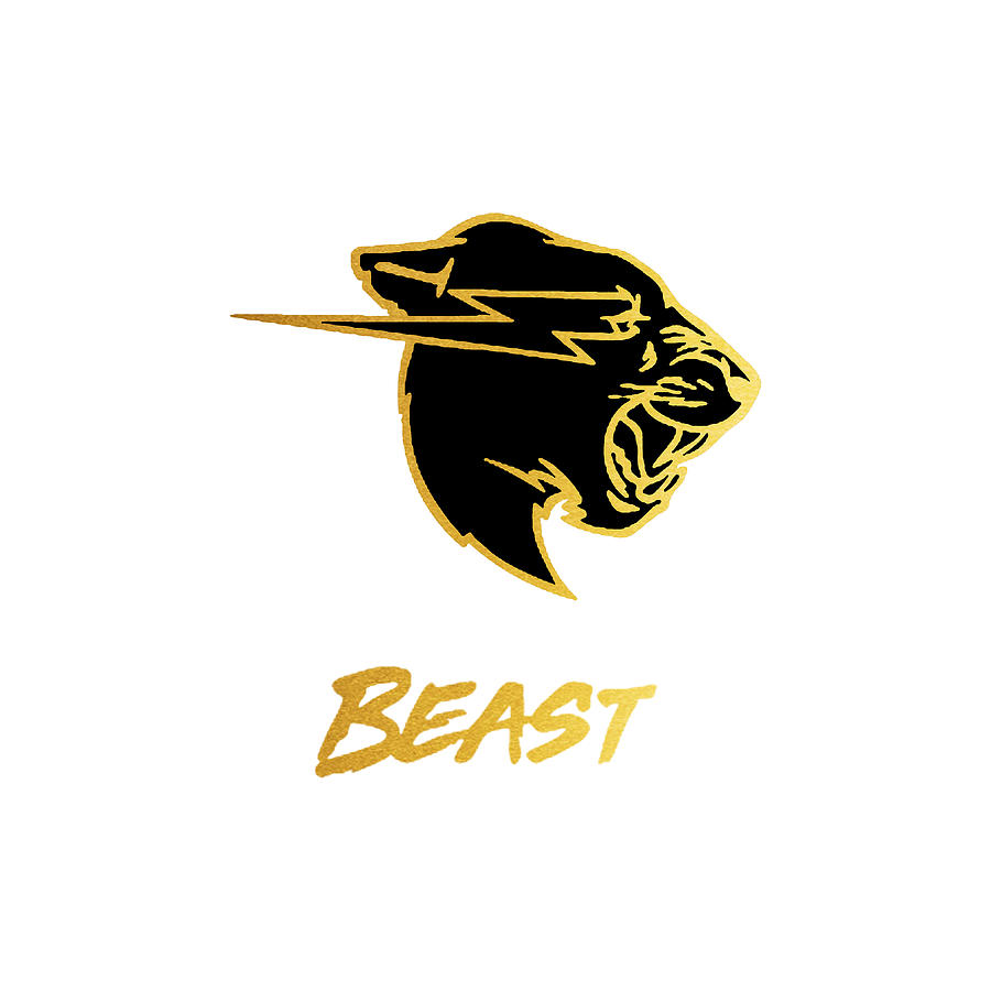 Mr beast logo online gold