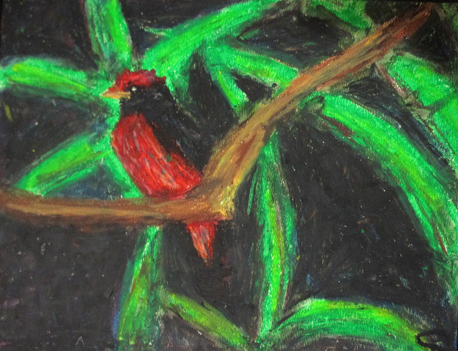 Mr. Bird Pastel by Jen Shearer