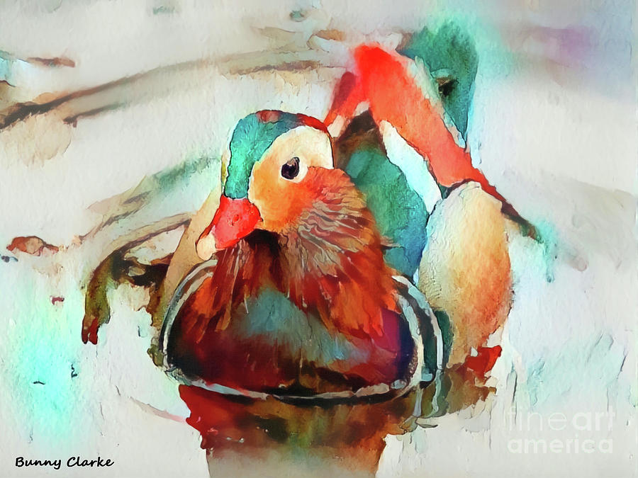Mr. Mandarin Duck Digital Art by Bunny Clarke