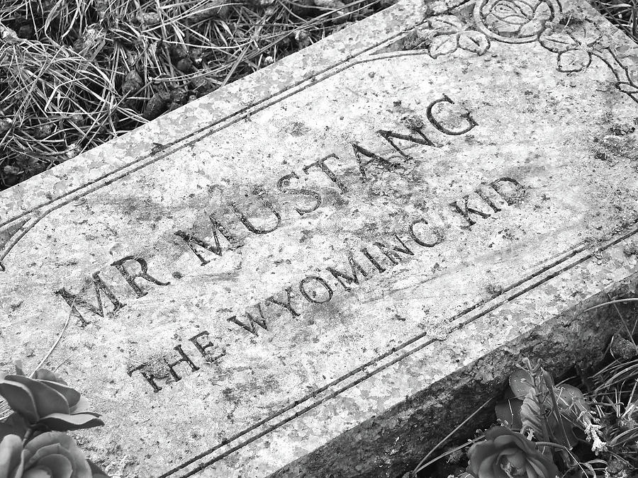 Mr Mustang headstone Photograph by Cathy Anderson