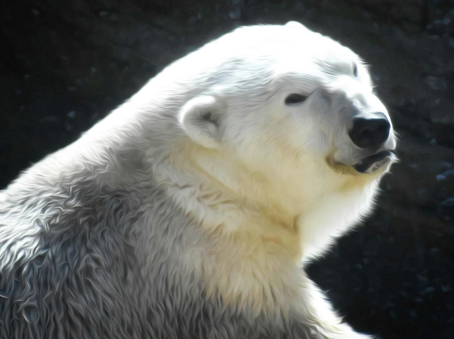 Mr Polar Bear Oil Photograph by Lyndee Miller is Fierce Ambition Imagery