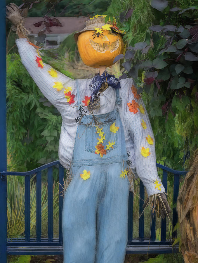 Mr. Scarecrow Photograph by Sylvia Goldkranz