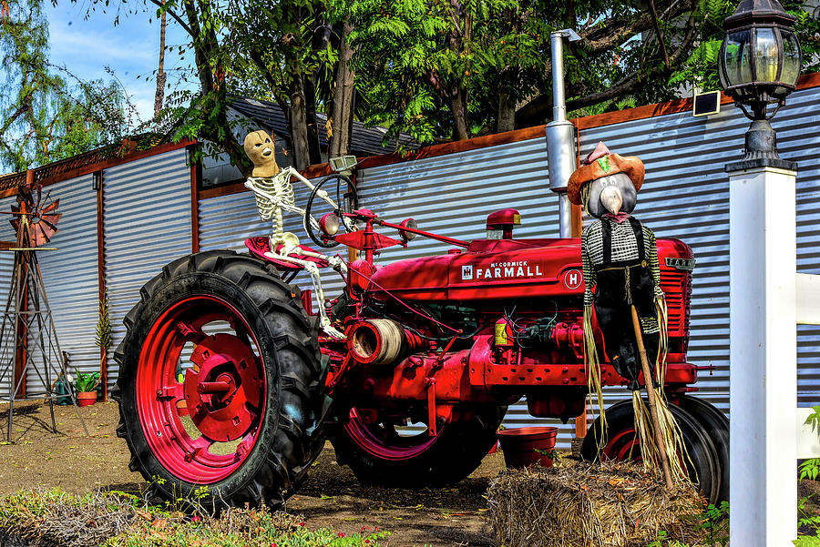 Mr. Skeleton And Mr. Scarecrow And A Red Tractor Photograph