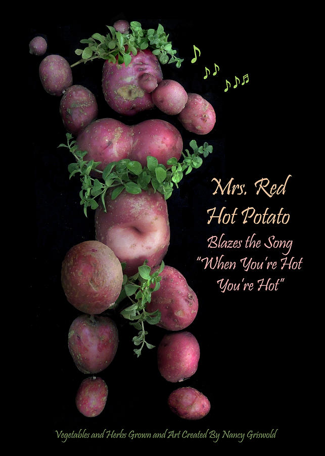 Mrs Red Hot Potato Photograph by Nancy Griswold