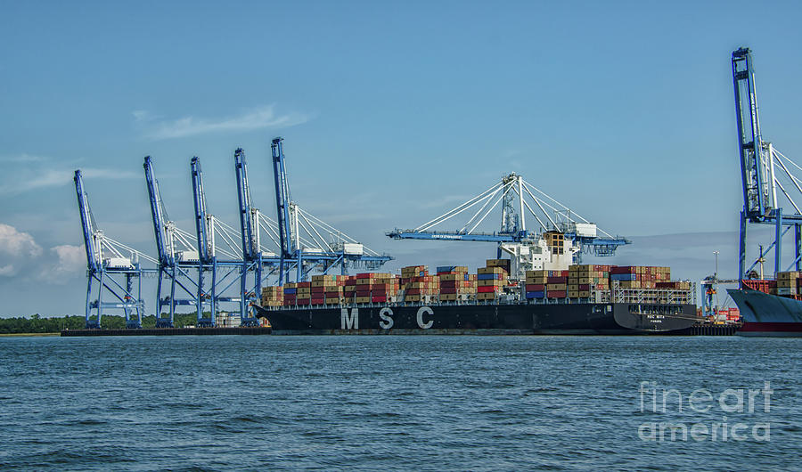 MSC RITA Cargo Ship Photograph by Dale Powell