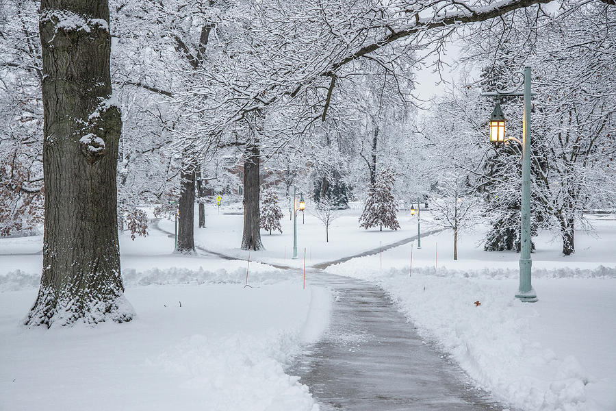 MSU Campus Winter 2021 Photograph by John McGraw