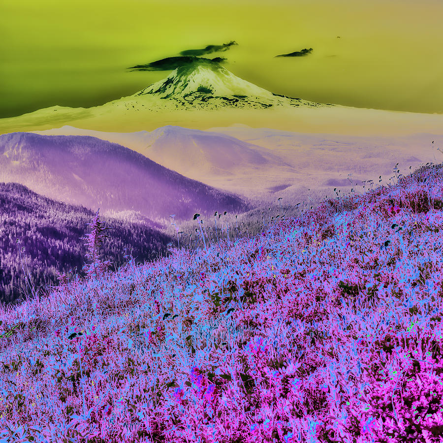 Mt. Adams in Washington Digital Art by Bruce Block - Fine Art America