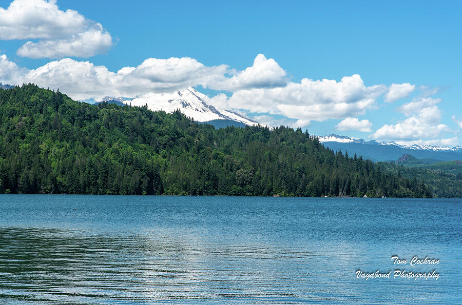 Mt Baker and Lake Shannon in Early Summer Photograph by Tom Cochran
