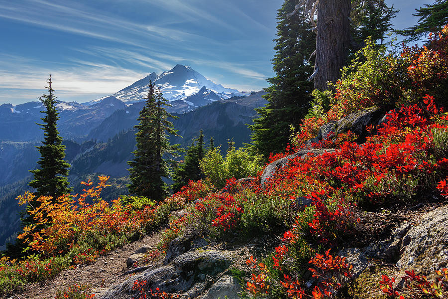 Mt. Baker Fall Colors Photograph by Gary Skiff